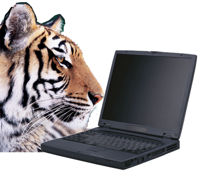 TigerComp